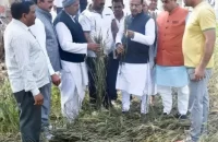 Delhi BJP MP Vijay Goel seeks relief for rain-affected farmers